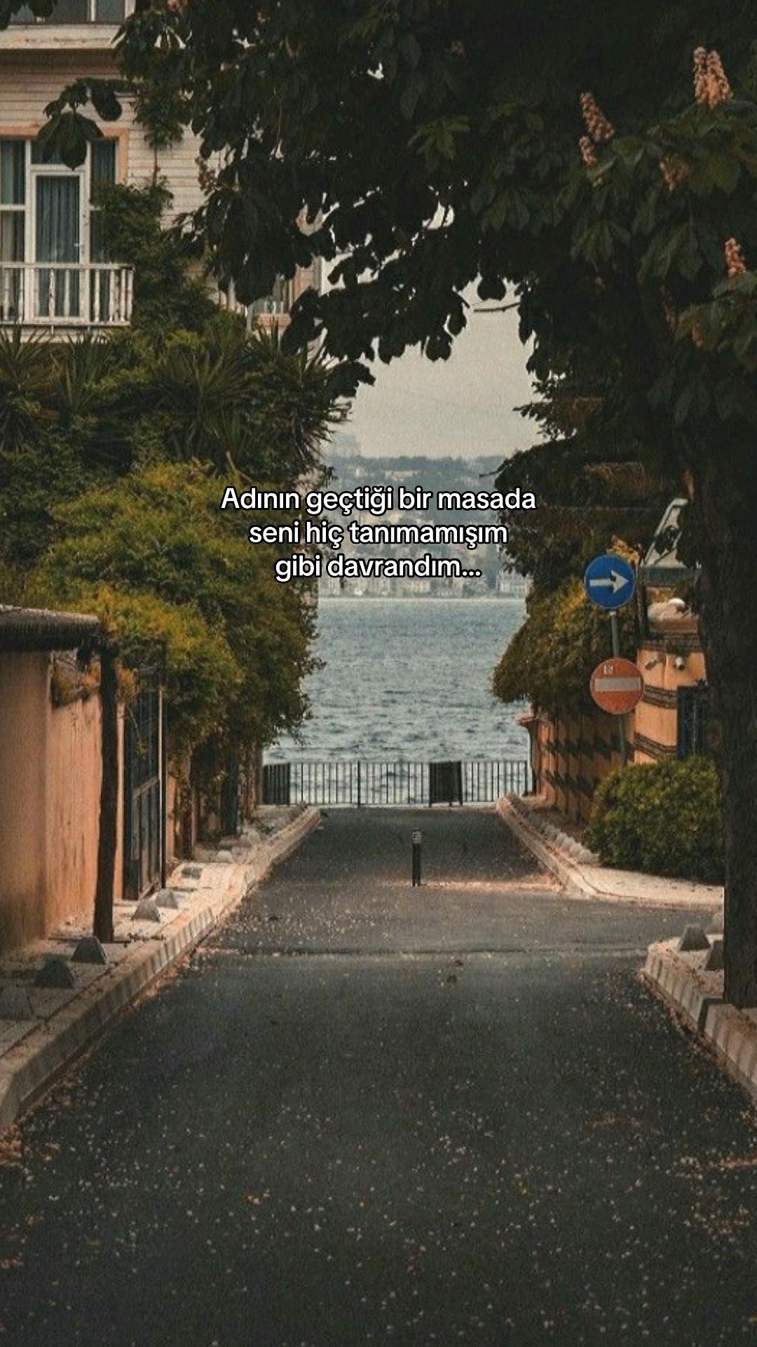 @seviyorgibiydin24