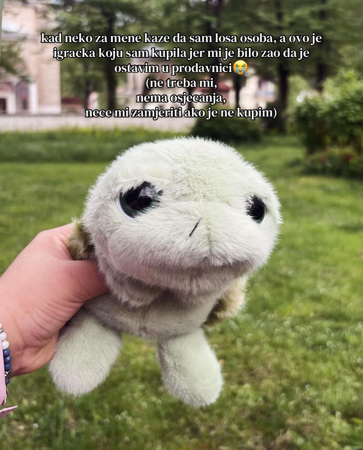 @🐢