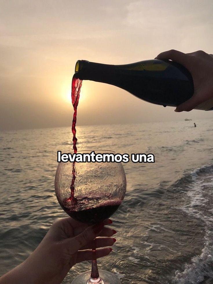 @carivzl