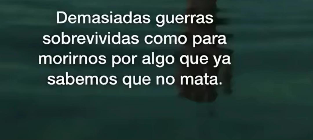@Loli🌸