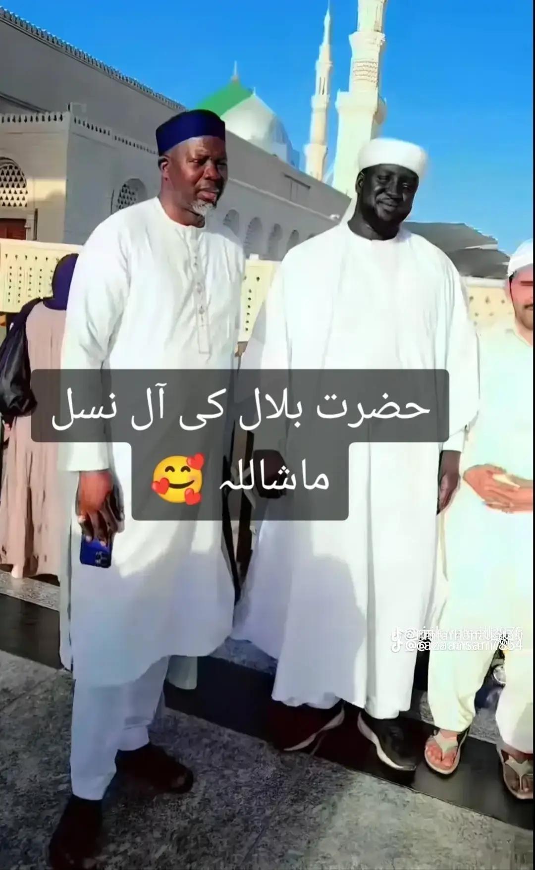@M Ismaeel Gujjar