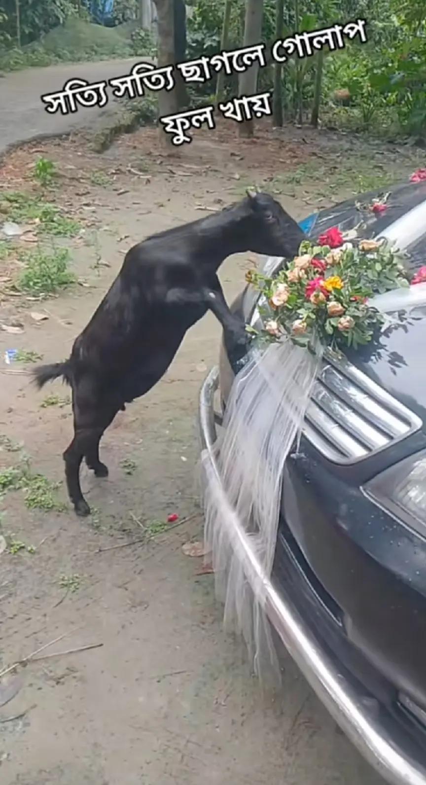 @বাবার রাজকন্যা,,,😔🥀