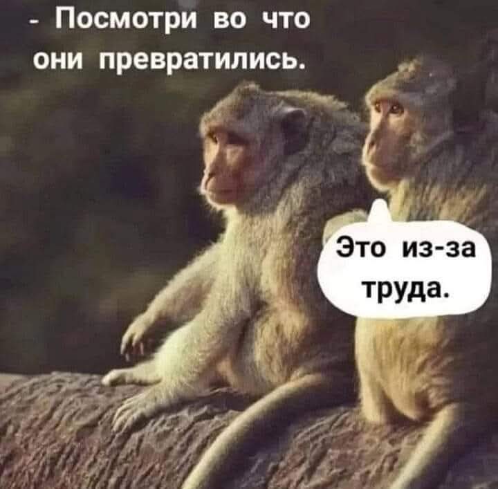 @Крузер