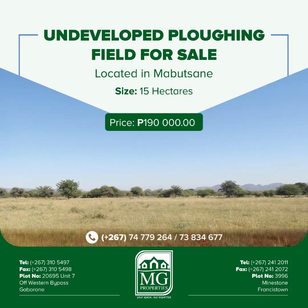 @MG PROPERTIES