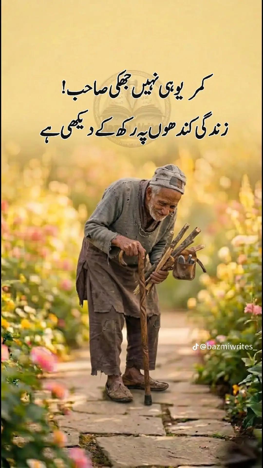 @M Faheem Ahmed