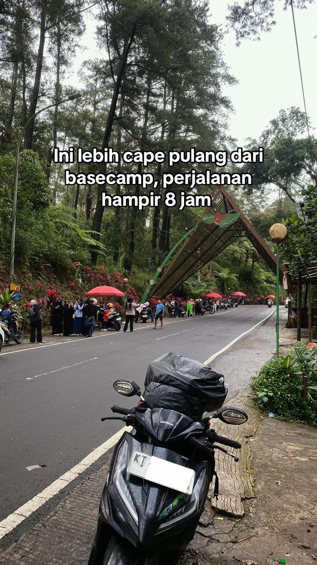@sall
