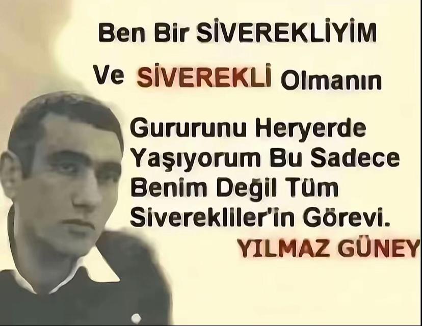 @yilmazezel22