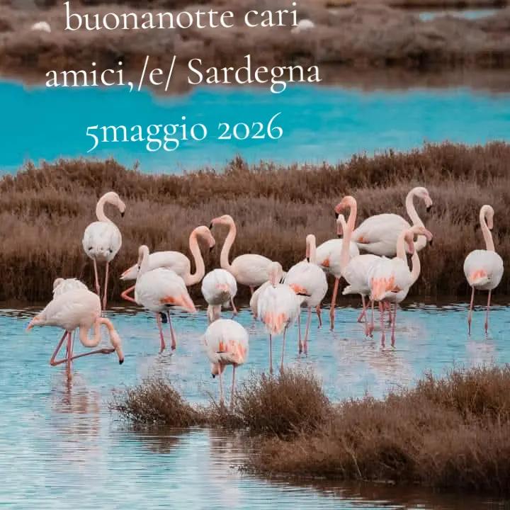 @Memmy Contu Annamaria Contu