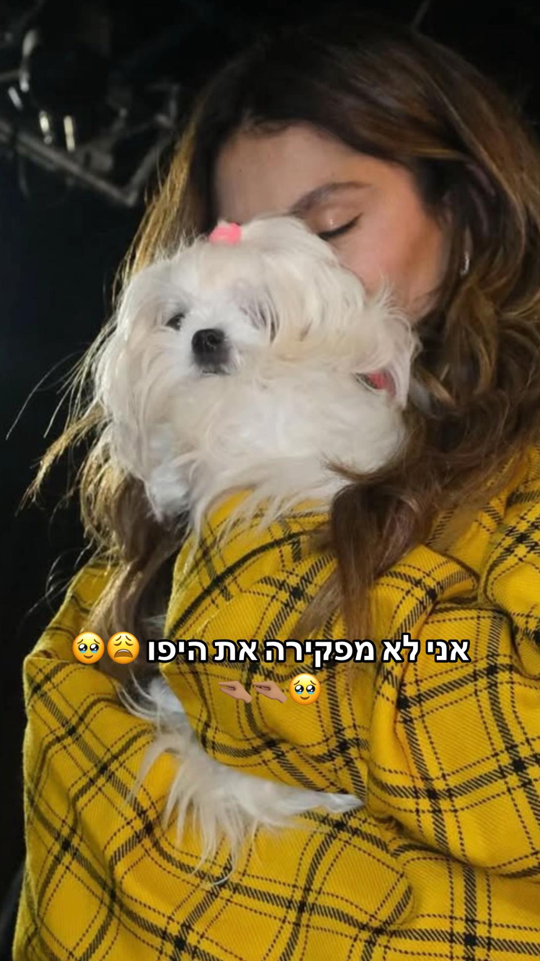 @๐๐๐๐๐ซ