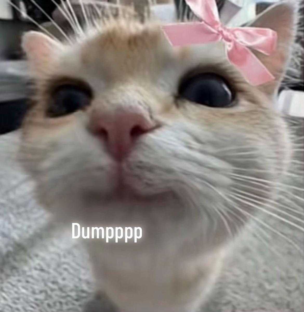 @annoyingannabelle12