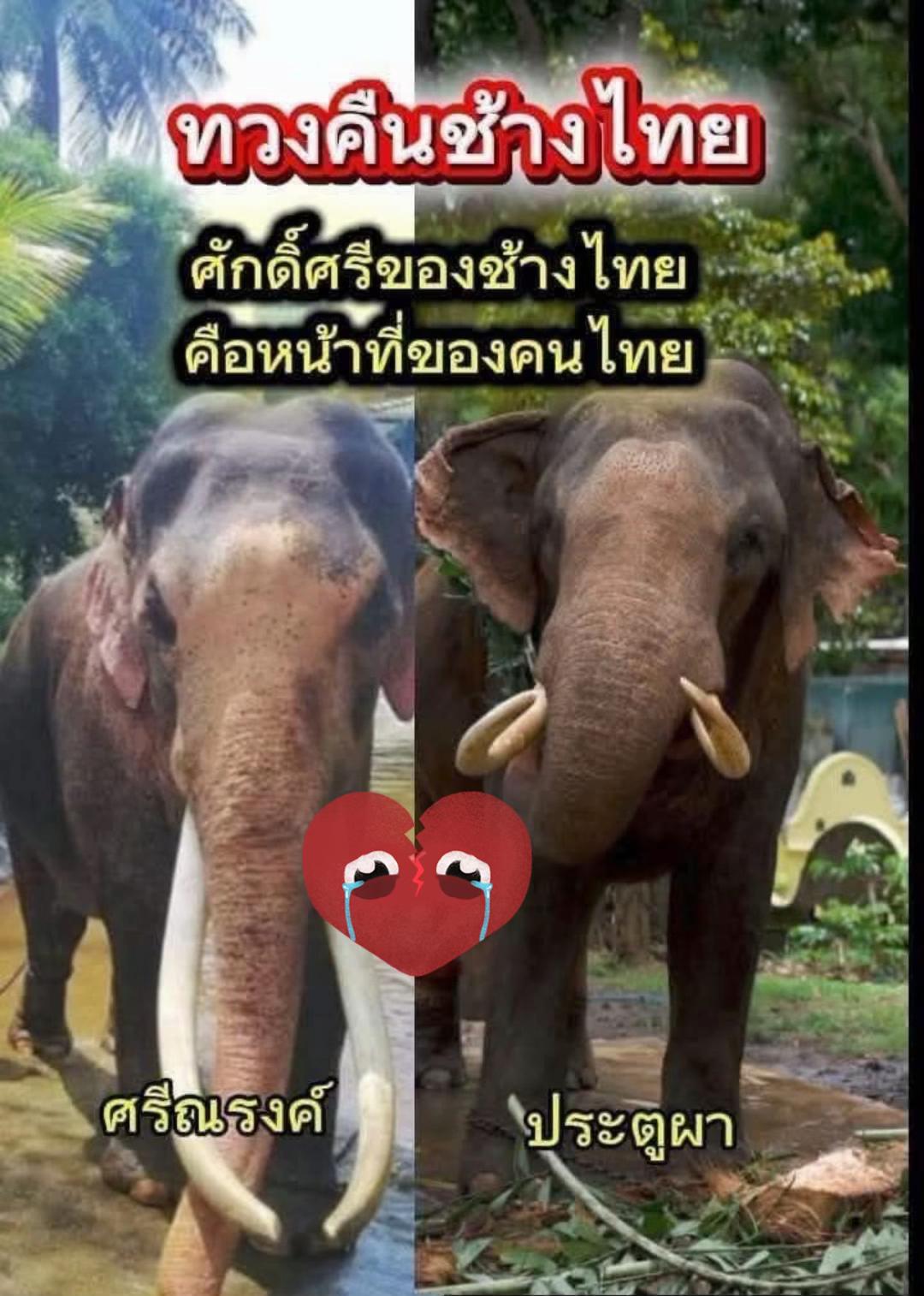 @Animal lover🫶💕
