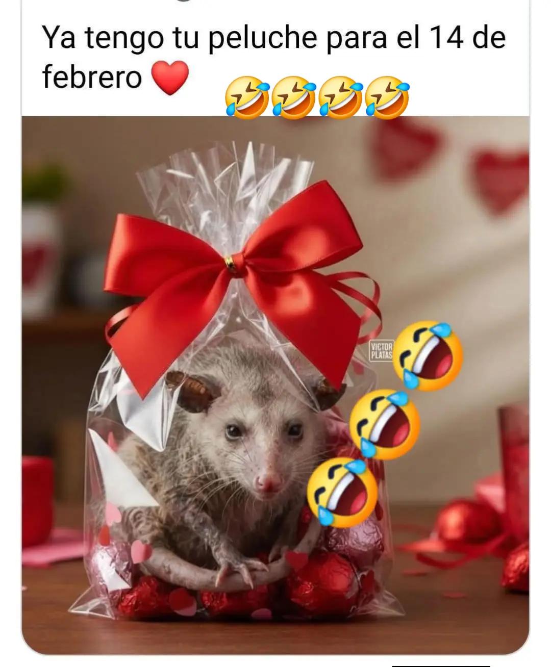 @🧑&zwj;🧒&zwj;🧒 ESTELA..😍❤️&zwj;🩹