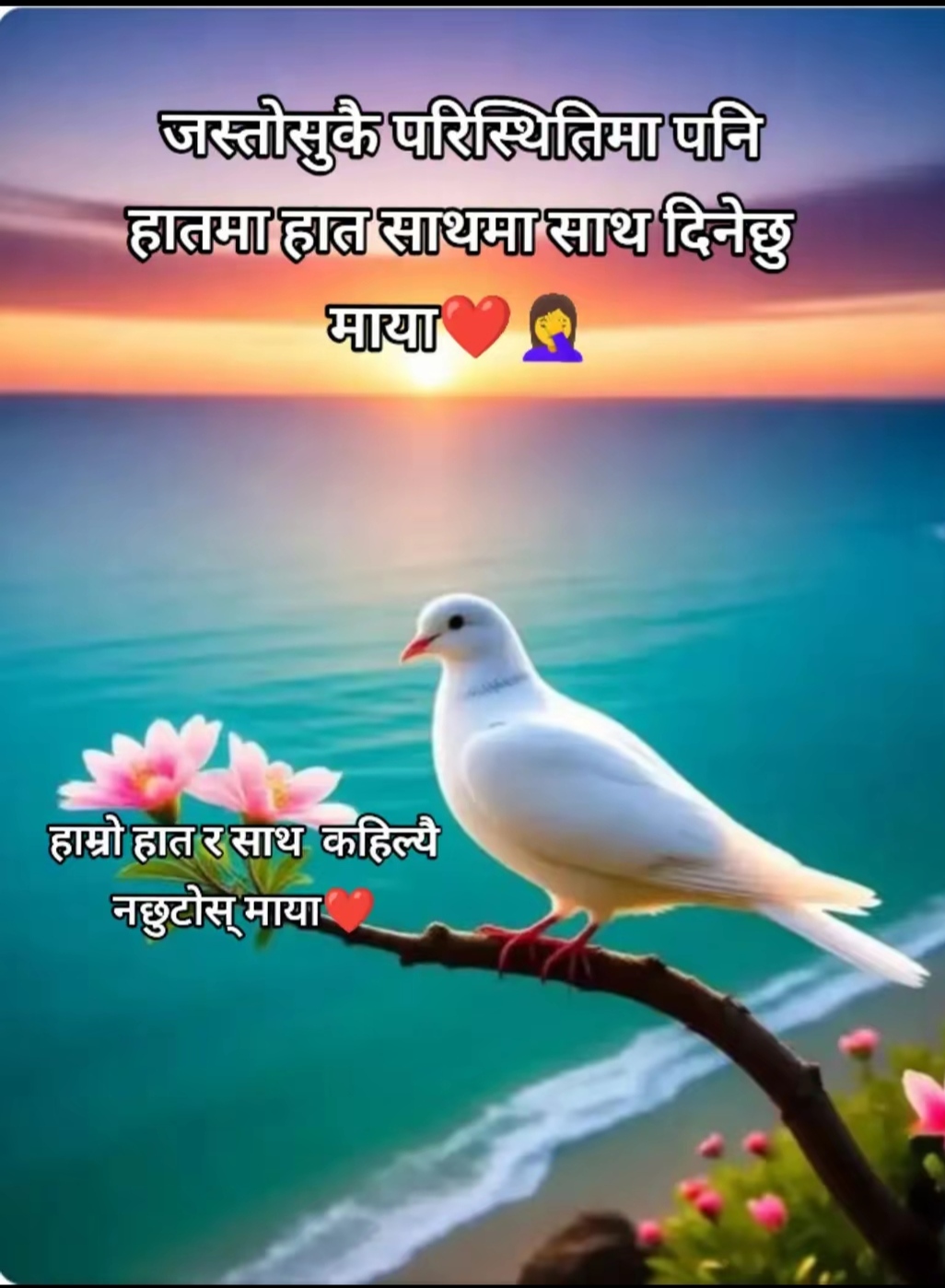 @Kumar Baniya Gorkhali🇳🇵🇲🇾