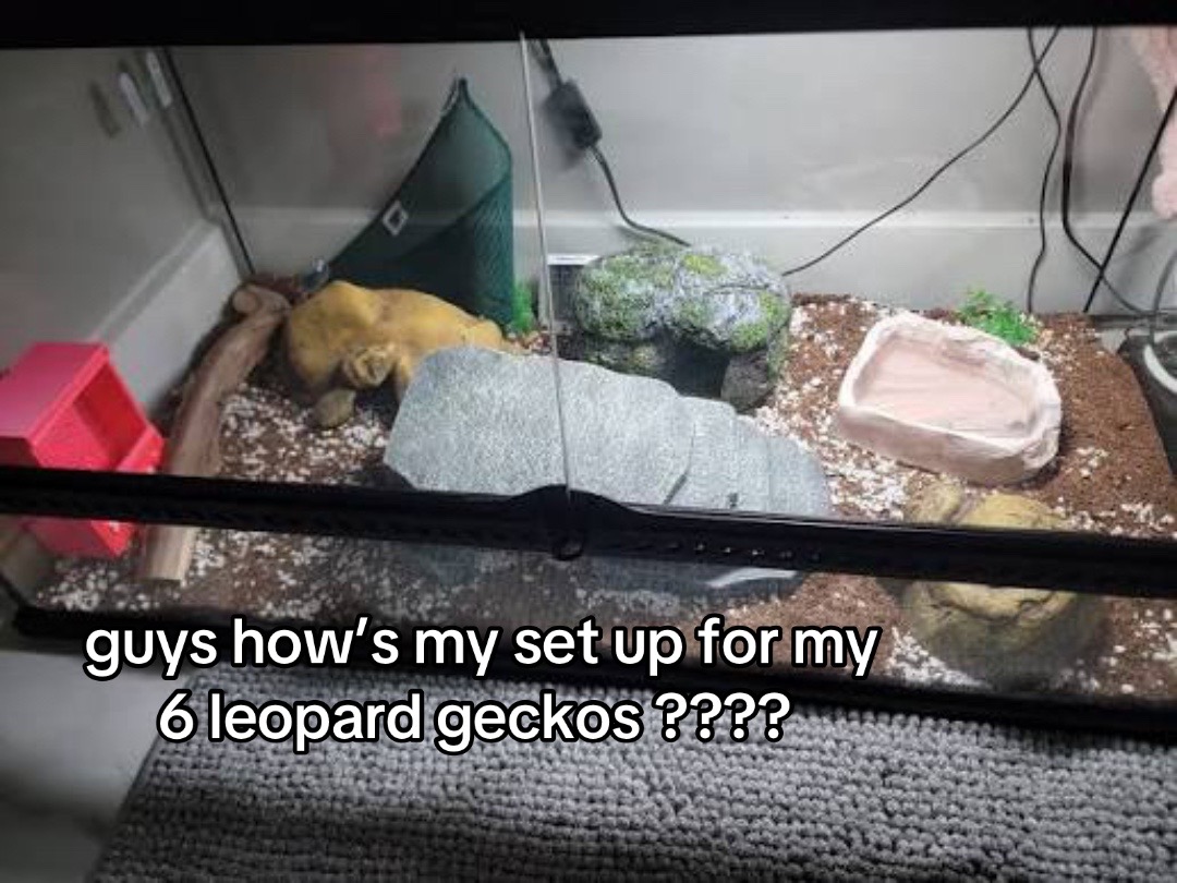 @kaciandherballs
