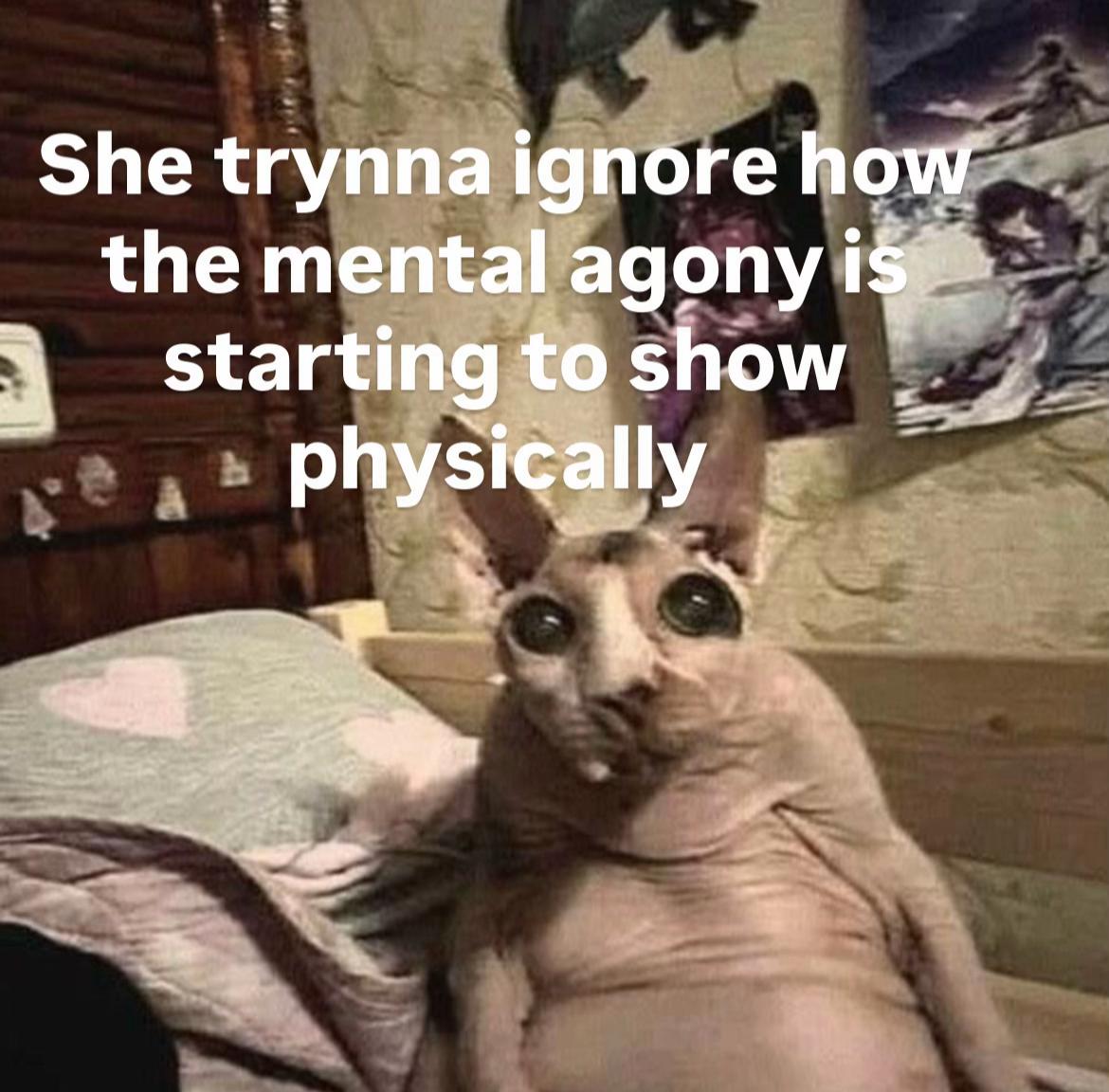 @chudangel