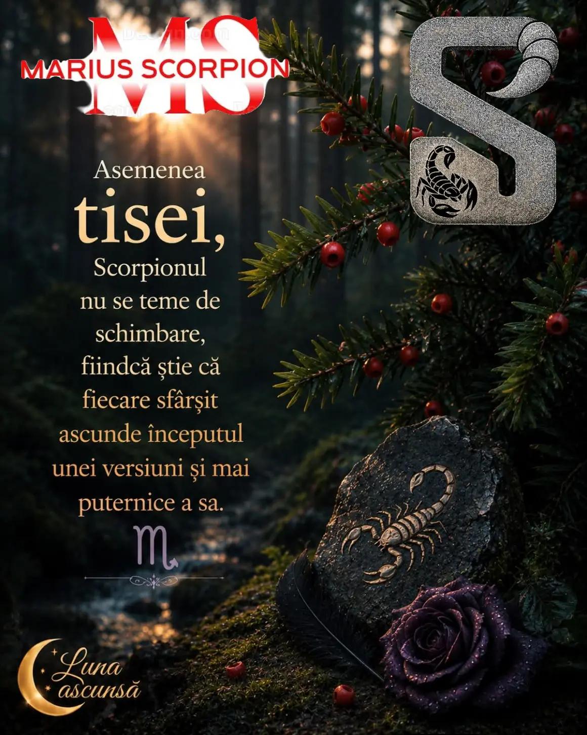 @🦂♏MARIUSSCORPION🦂♏➡️♏ ♈🫶❤️