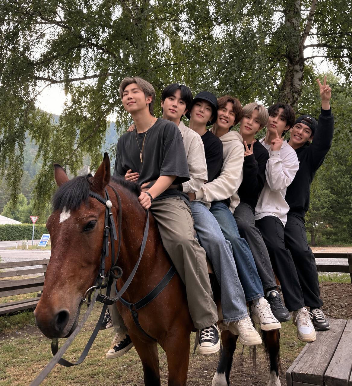 @tg: altaihorses