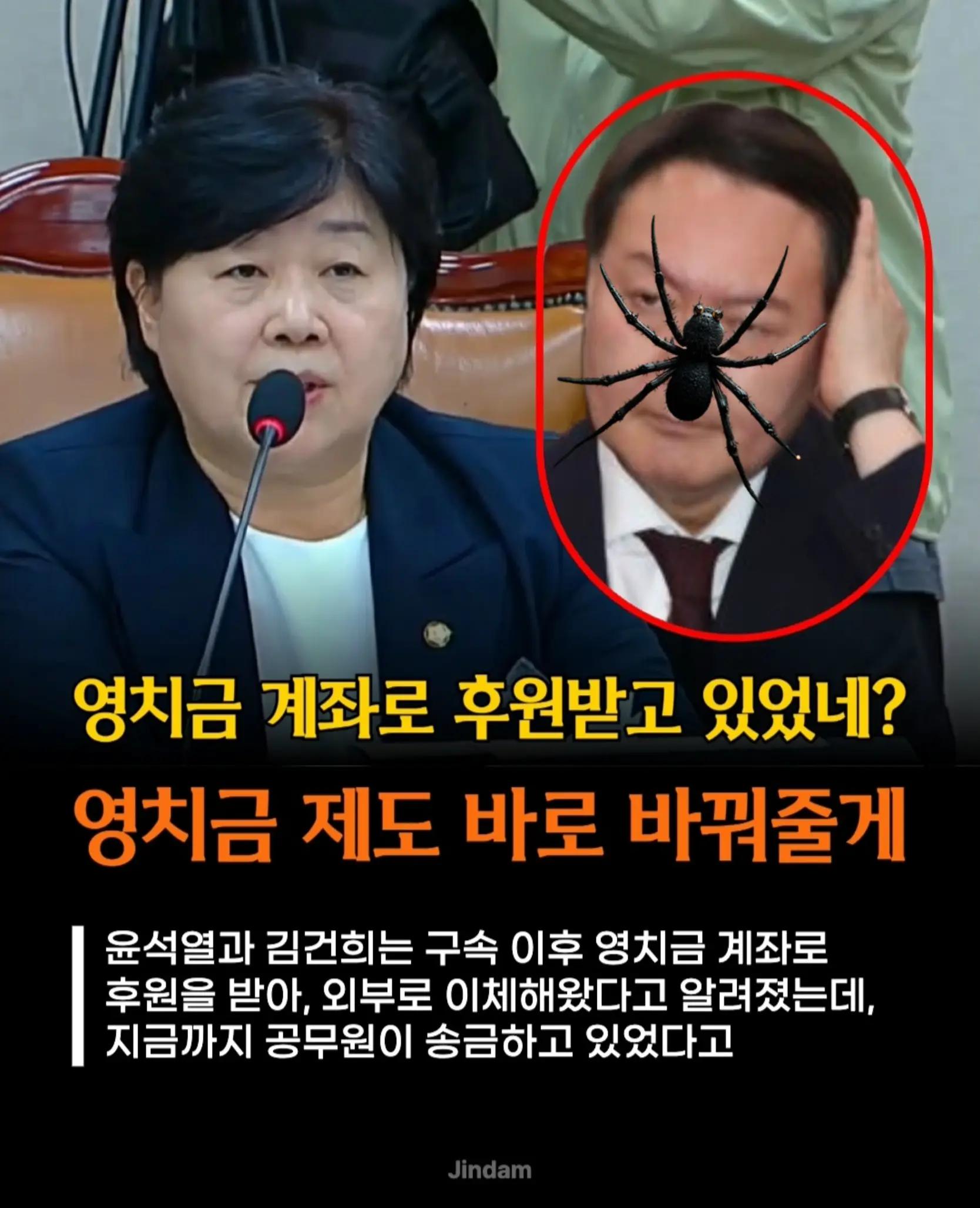 @🌺시라소니[본]🌺