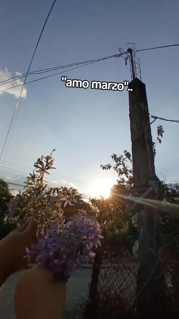 @⊙⊝⊜ ⟭⟬⁷𝓜𝓲𝓷𝓨𝓸𝓸𝓷𝓰𝓲