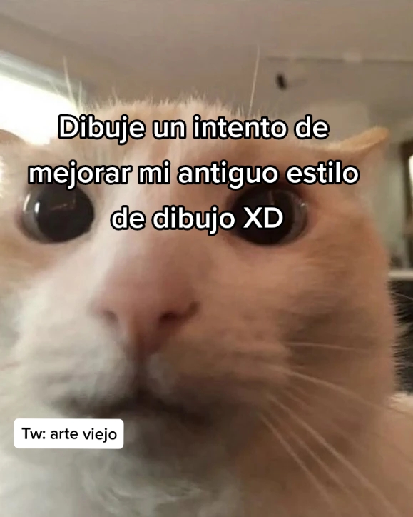 @confetii