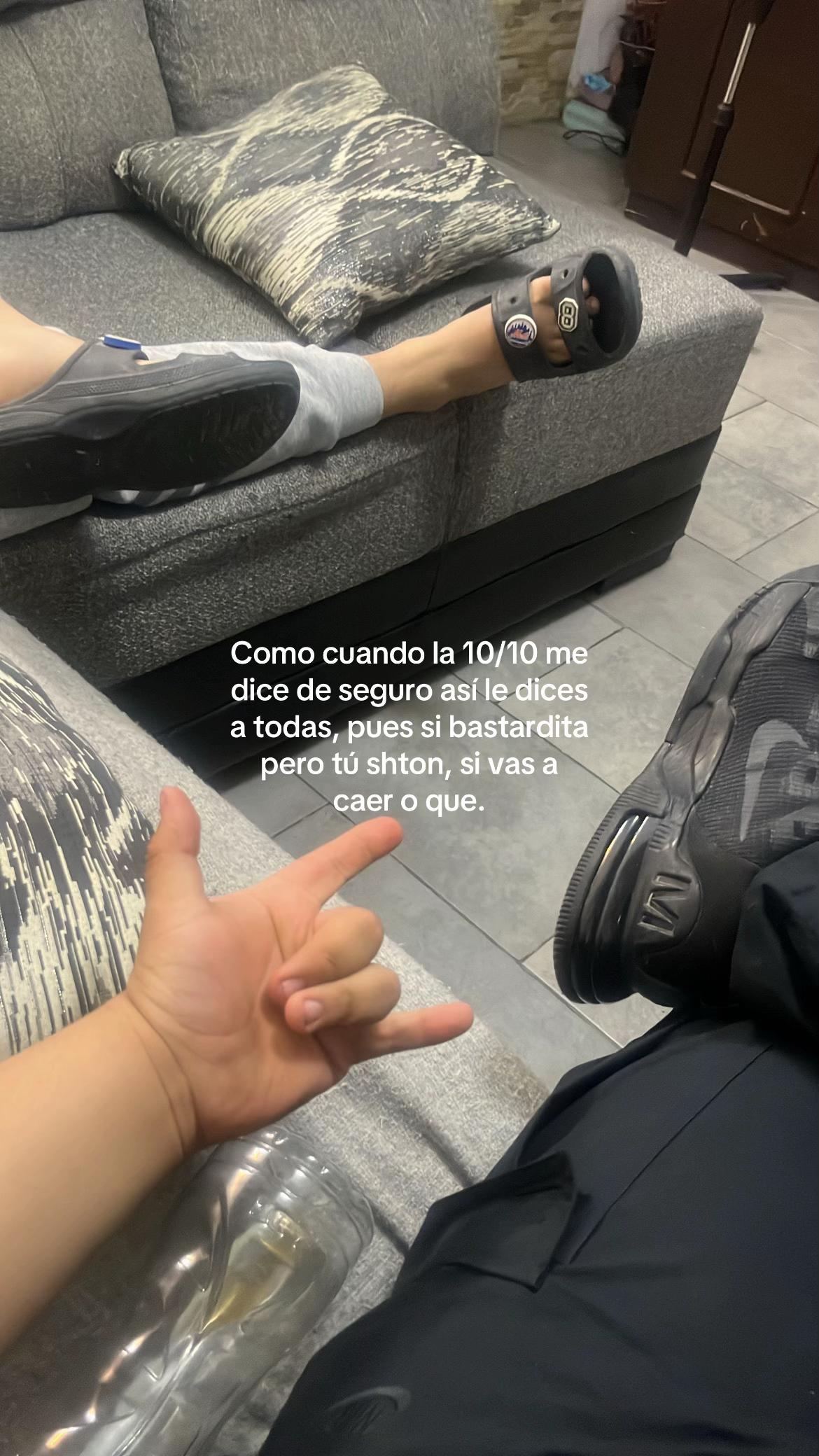 @Pollito_conpapasjaja