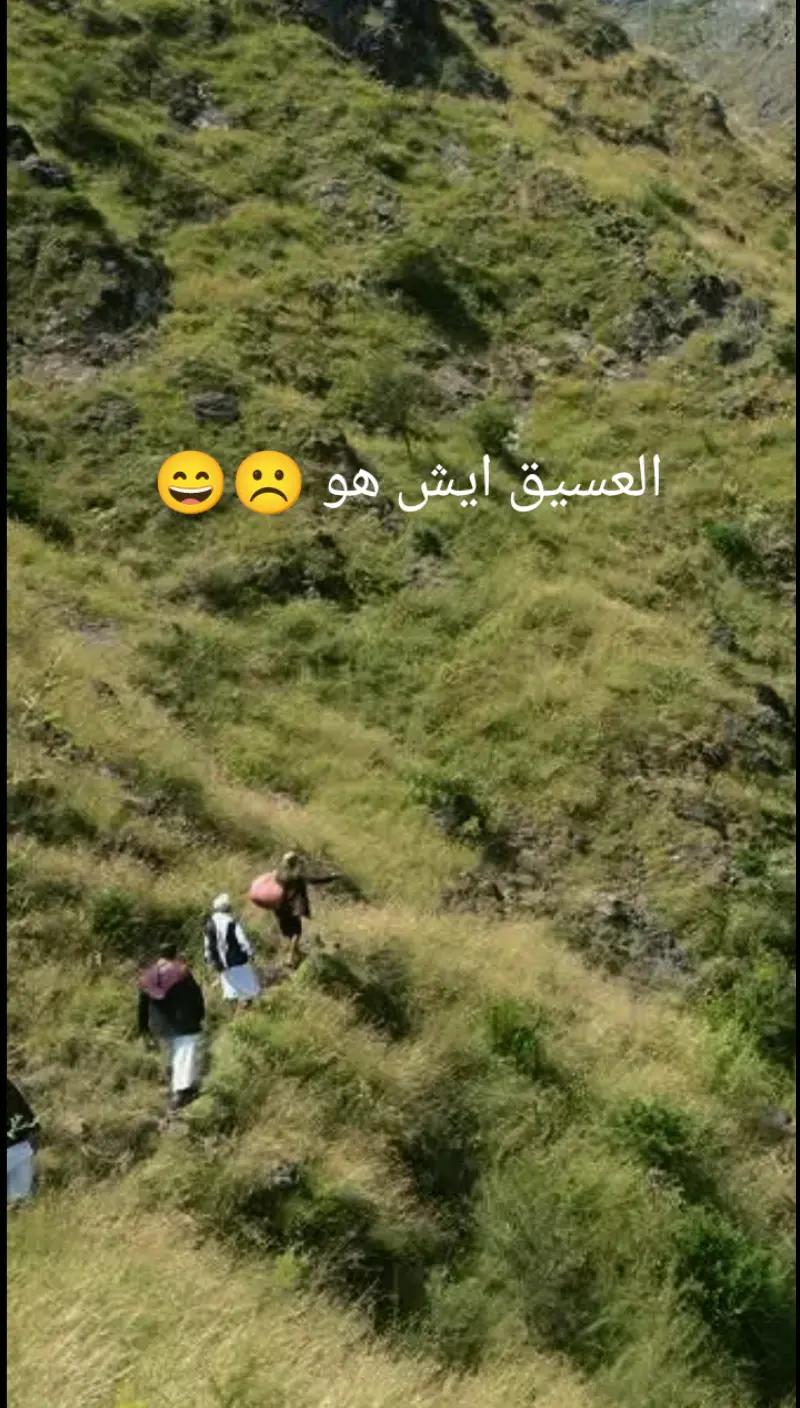 @❀🇾🇪👑🫶🌹🇾🇪❀