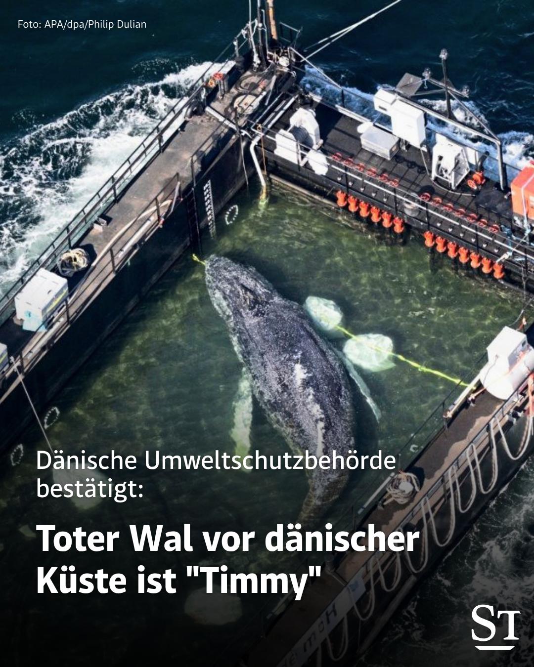 @DER STANDARD News