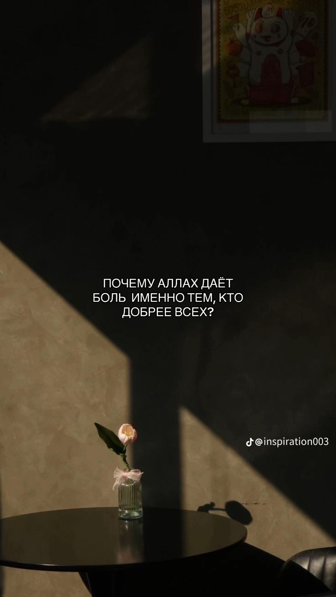 @Ovezova