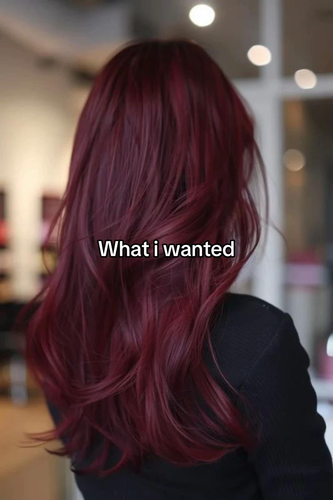 @༻❧ℰ𝓁𝓁𝒾☙༺