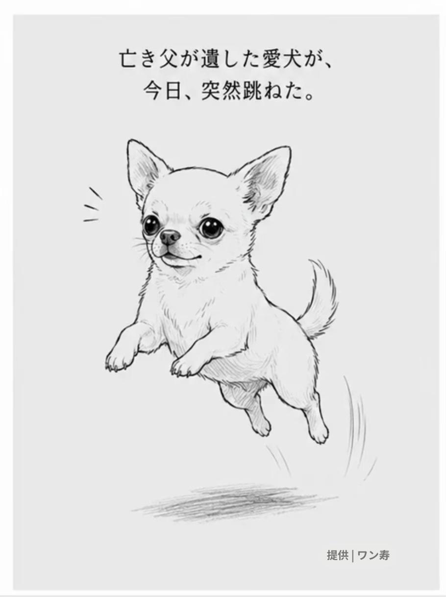 @ワン寿 | taro