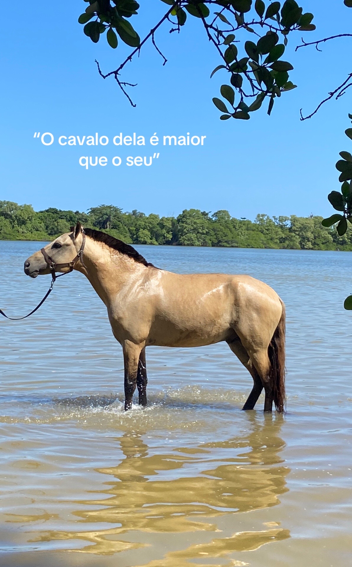@Pᥱ́r᥆ᥣᥲ ᥱ ᥴᥲ&rho;&iota;tᥲ̃᥆
