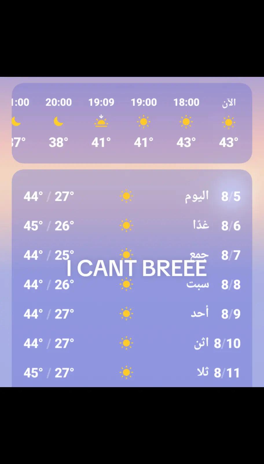 @≽^• ˕ • ྀི≼