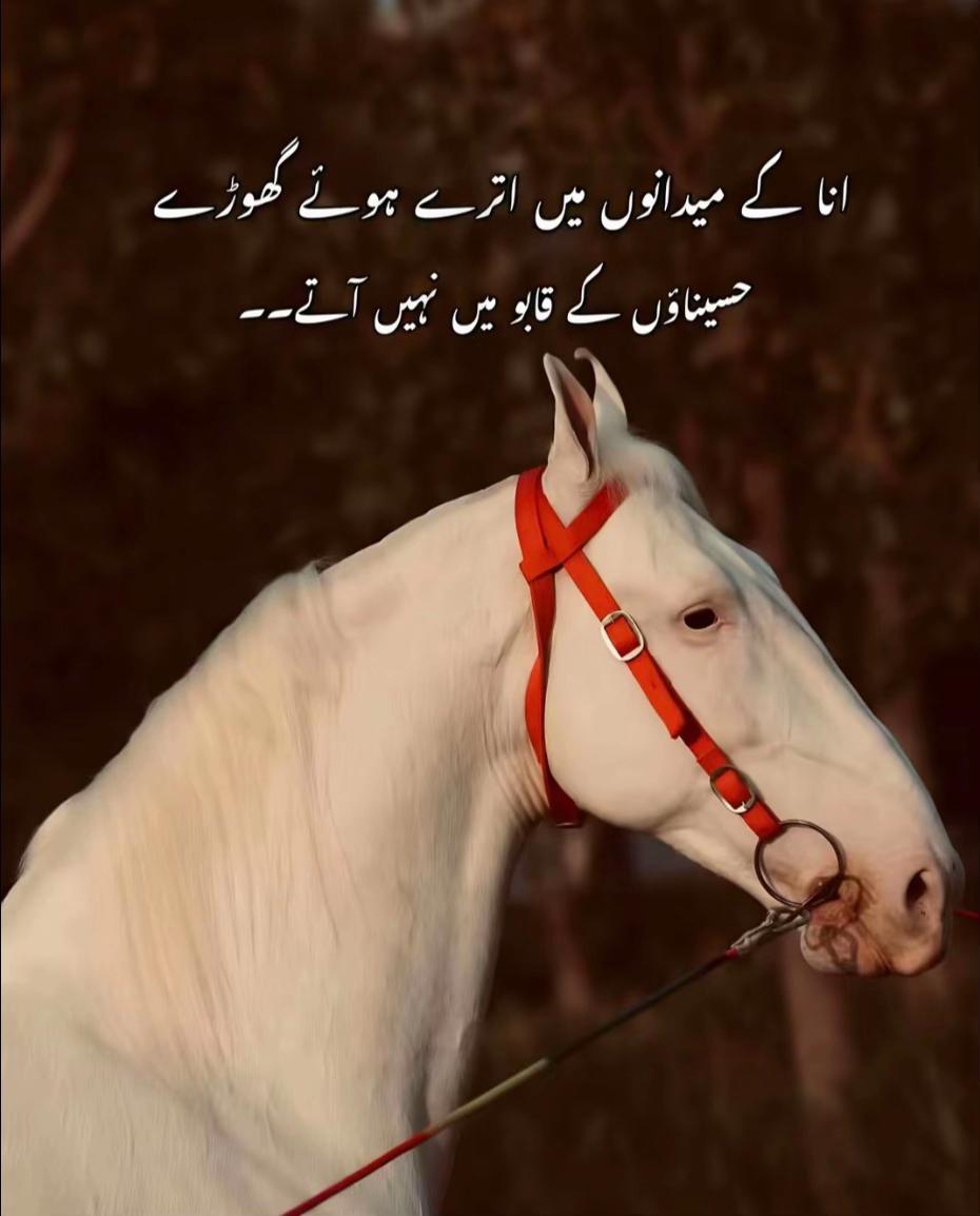 @بٹ صاحب