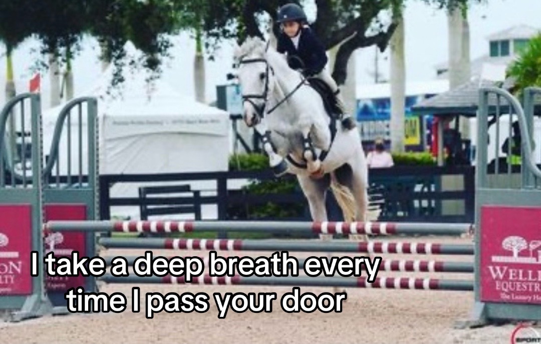 @Dakota Sheikh