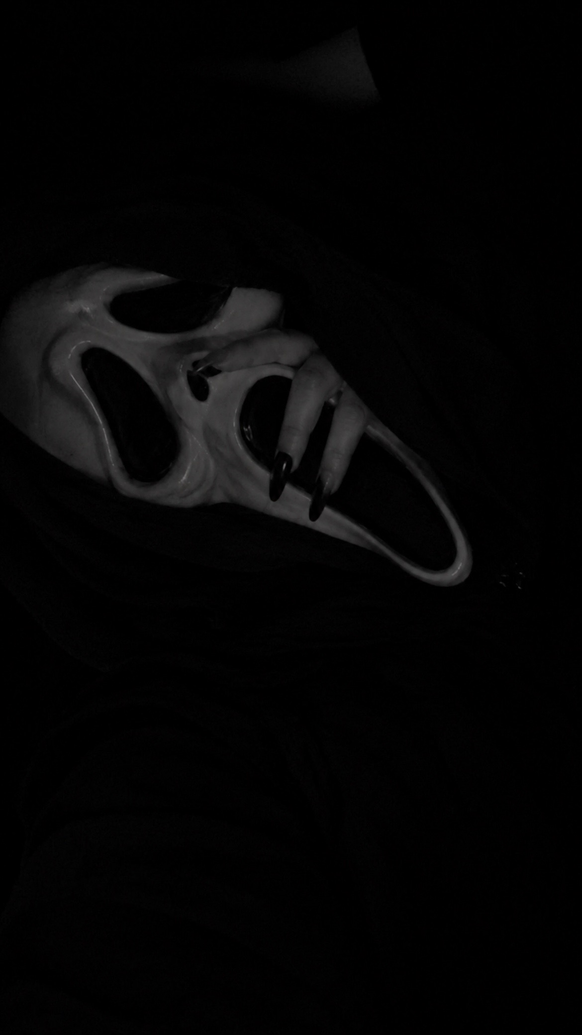 @๐งธเพเฝฒGhosty ๐งธเพเฝฒ
