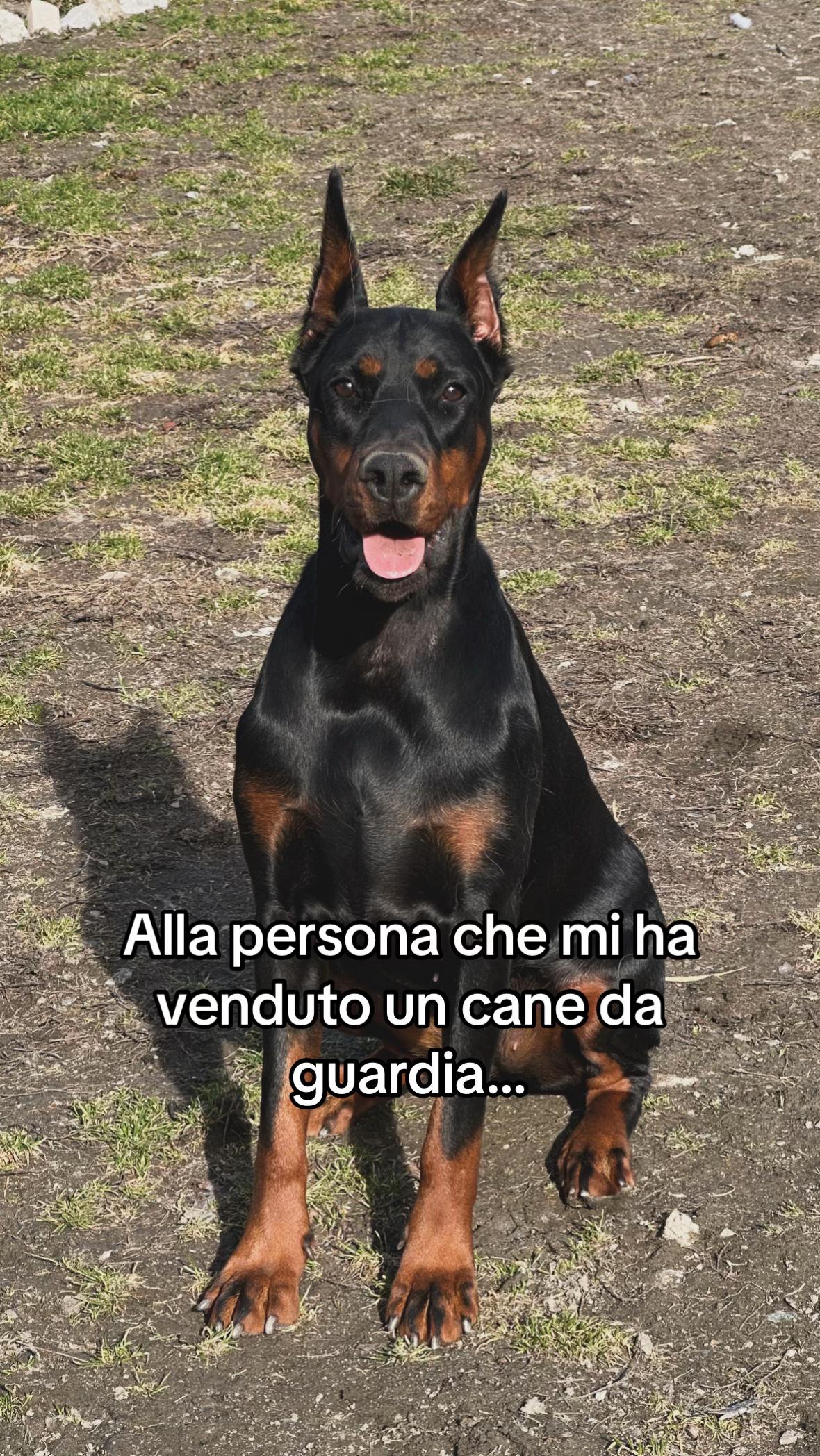 @Alessia Tedesco