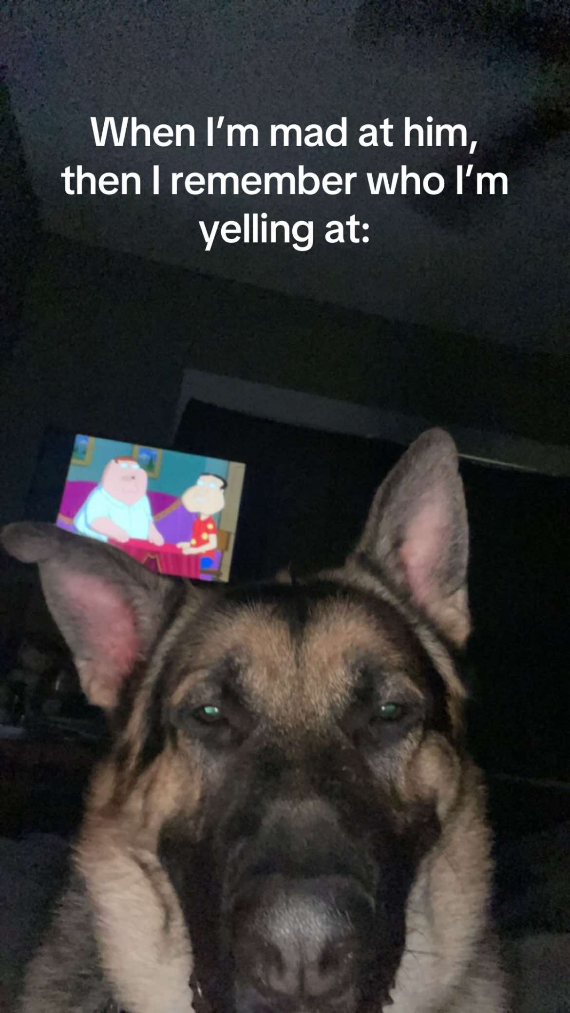 @WoahFren
