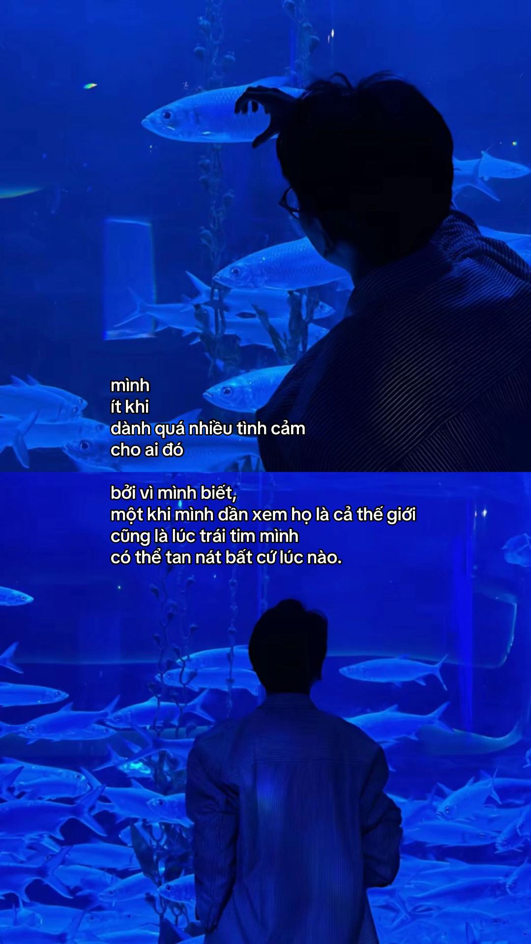 @Đ&atilde; đẹp trai lại c&ograve;n hay buồn