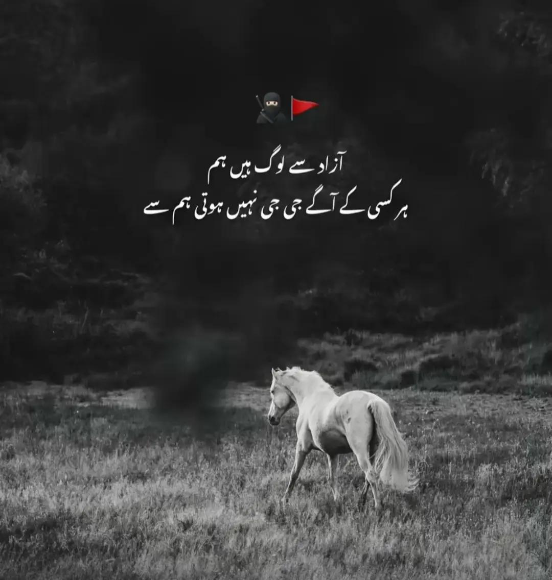 @💸نواب×jæTT°⚜️