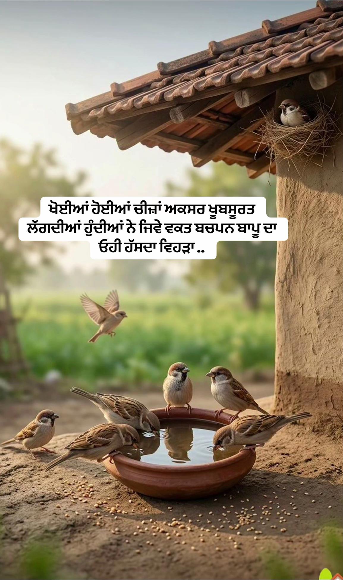 @ਸ਼ੁਕਰਾਨਾ 🤍