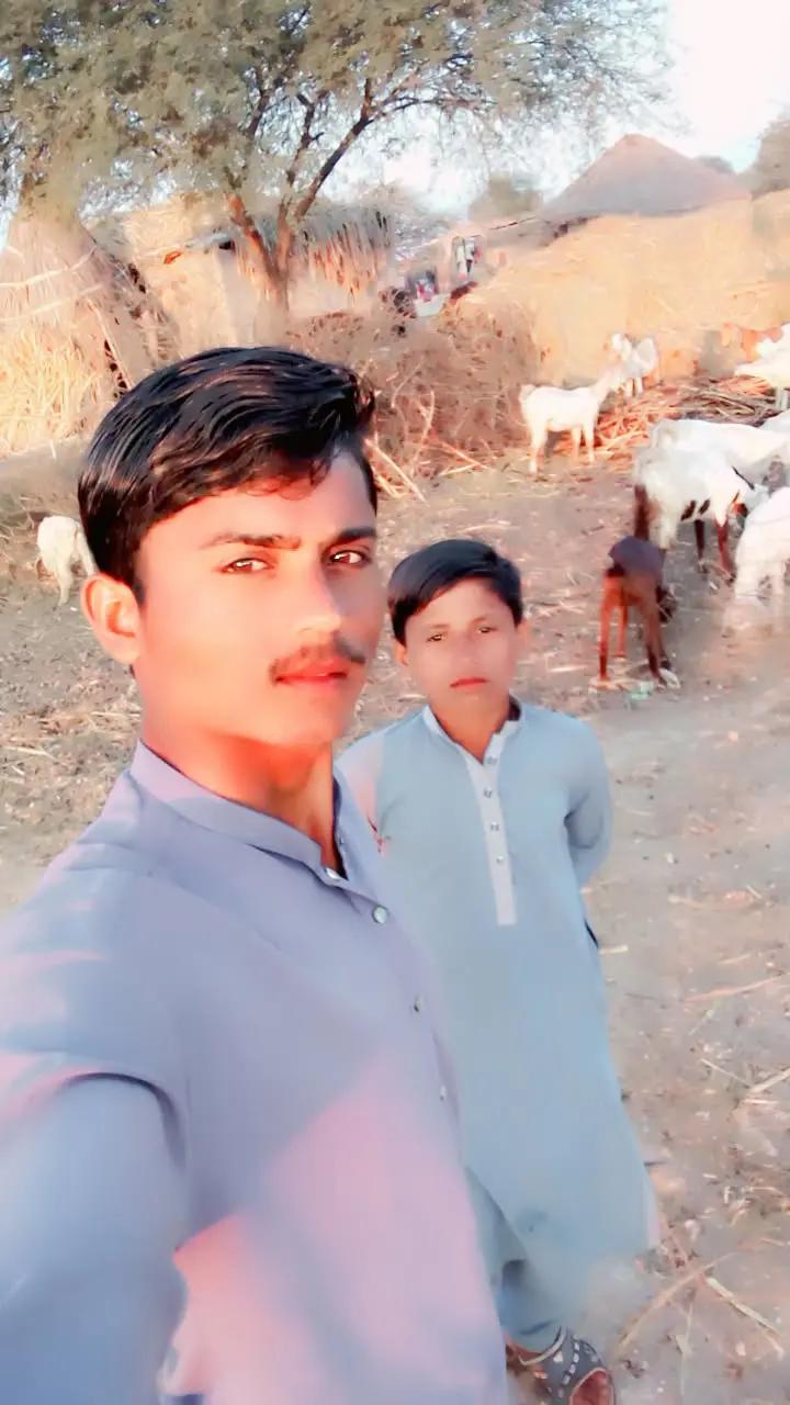 @harsin Chauhan
