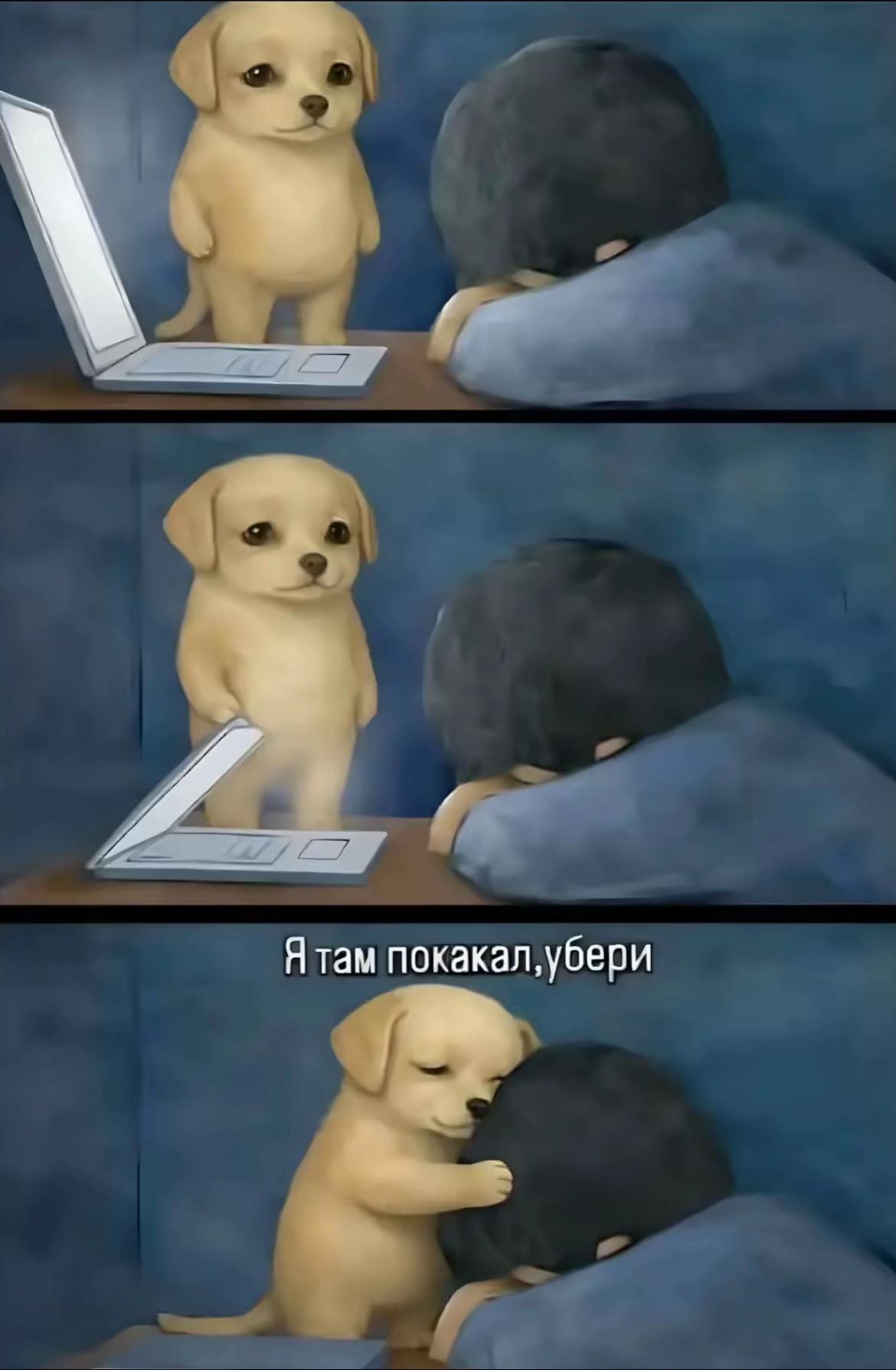 @nosochec.trikki