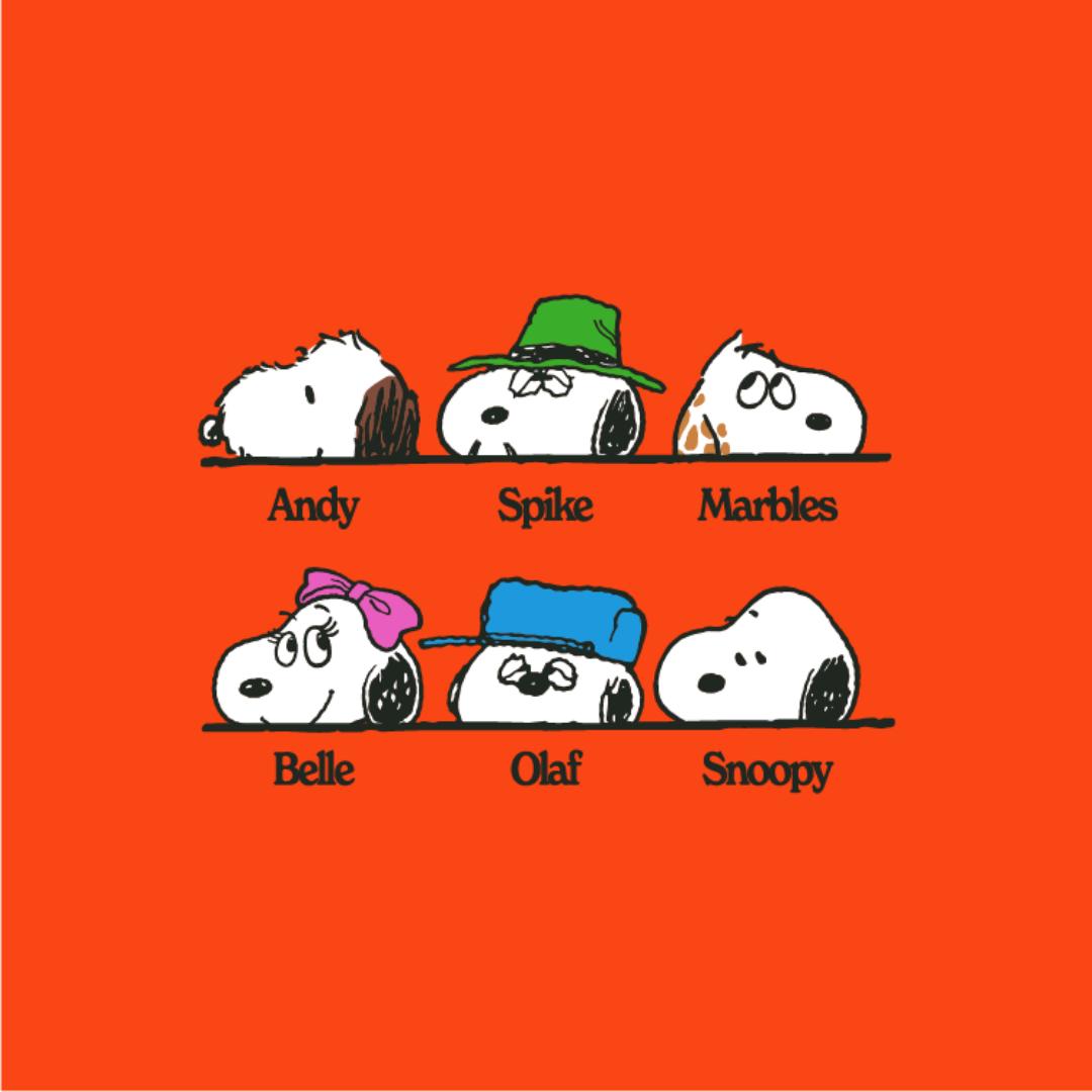 @Snoopy en español