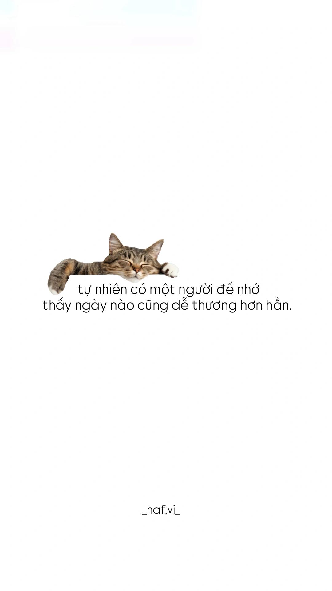 @vi