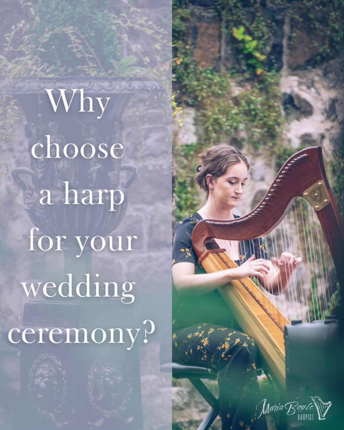 @Harpist-Maria Boyle