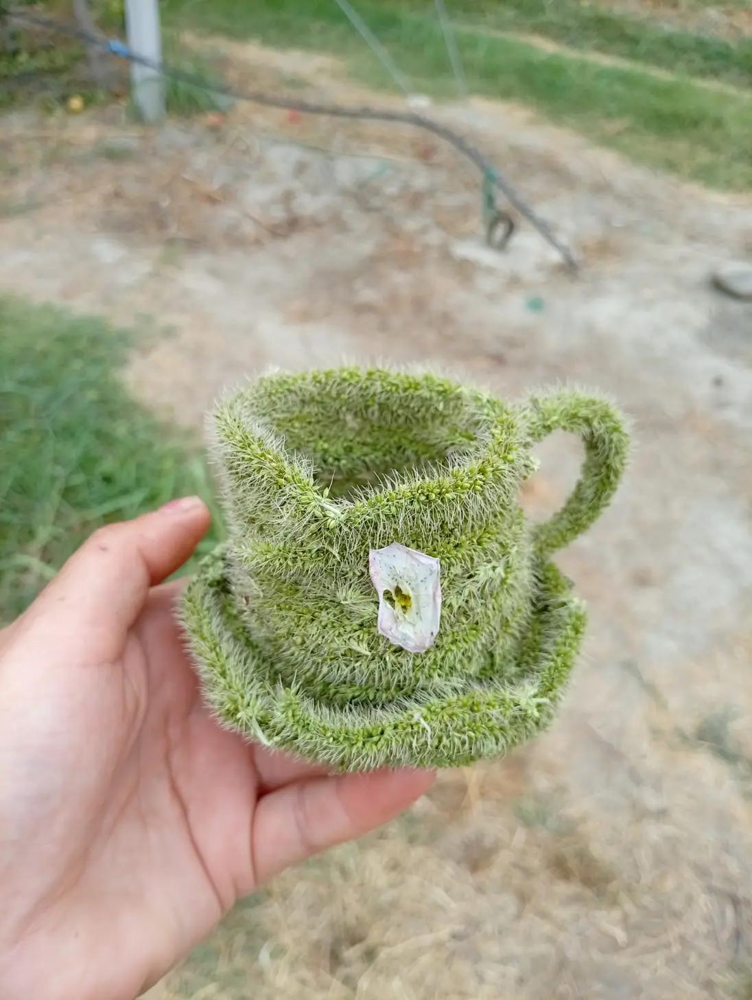 @gülum
