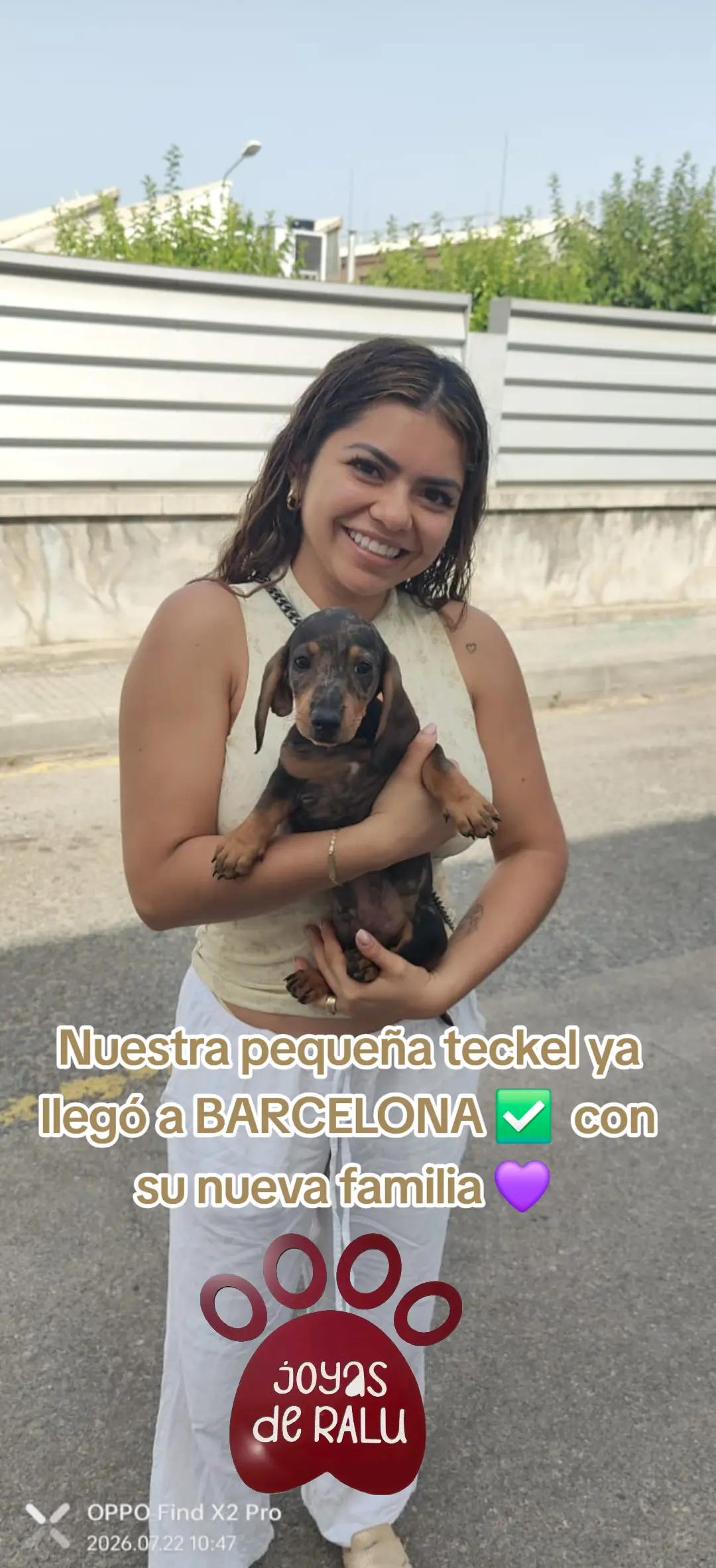 @joyas de ralu