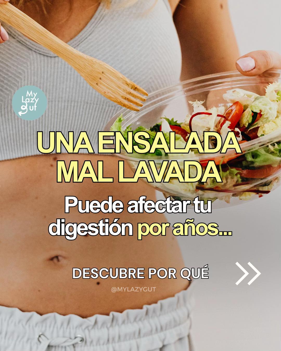 @Mylazygut/Digesti&oacute;n Saludable