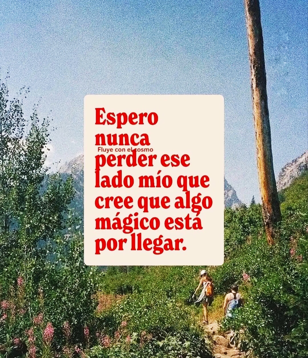 @200CAIDOS
