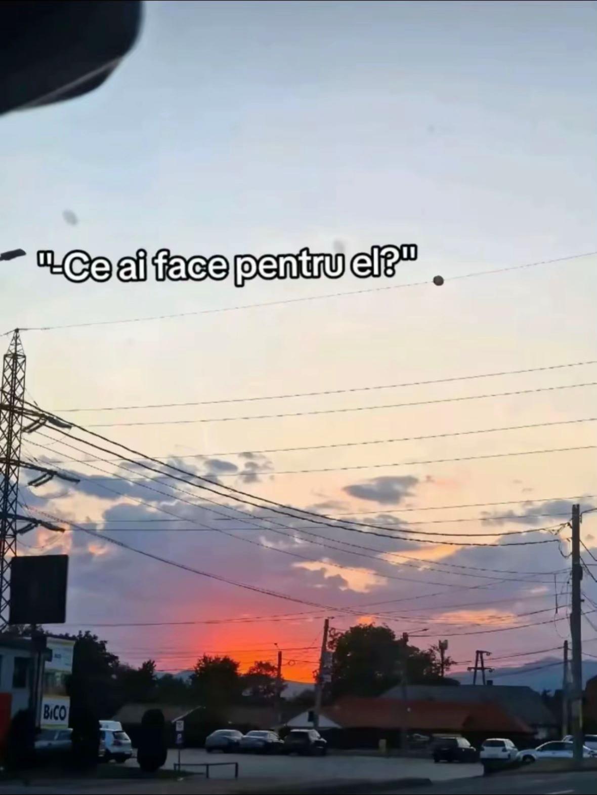 @ale_26_asd_